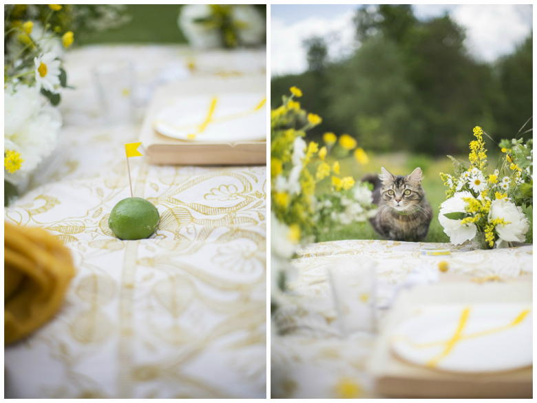 L&T_picnic champêtre en jaune et blanc_03