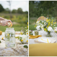 L&T_picnic champêtre en jaune et blanc_07