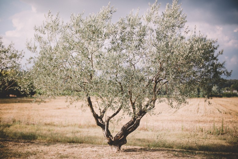 Soul Pics - photographe mariage provence - love et tralala - mariage E&J -75