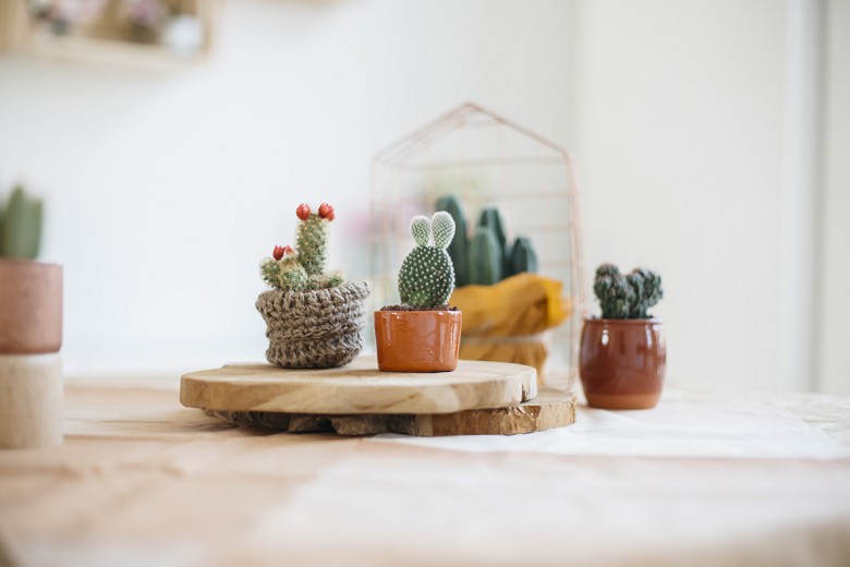 Lovetralala_shooting inspiration jolie table bohème cactus_08