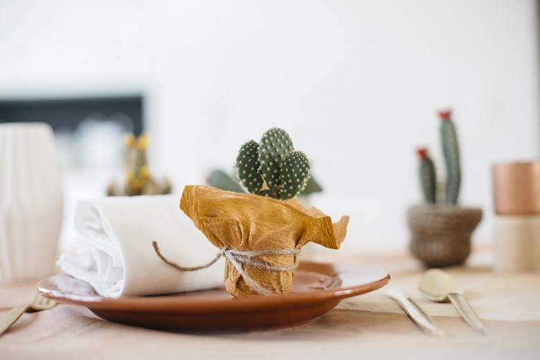 Lovetralala_shooting inspiration jolie table bohème cactus_12