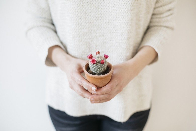 Lovetralala_shooting inspiration jolie table bohème cactus_14